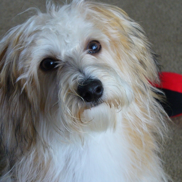 Meet your Posher, V - Picture 3 of 6